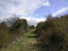 DSC00900