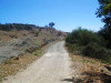 verano-2009-816