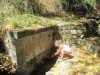verano 2009 850