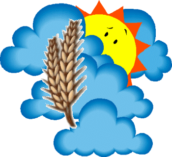 Temperatura agradable y posibilidad de lluvias.